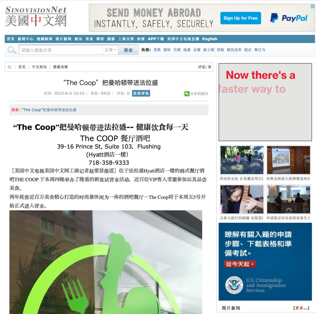 press_Sino-Vision